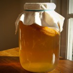 Как правильно подобрать чай при приготовлении настоев чайного гриба